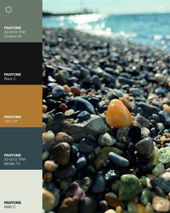 Mouthon-vert-inspiration-nuances-couleurs