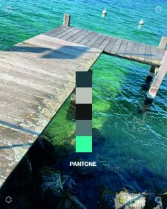 Mouthon-vert-inspiration-nuances-couleurs