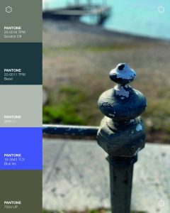 Mouthon-vert-inspiration-nuances-couleurs