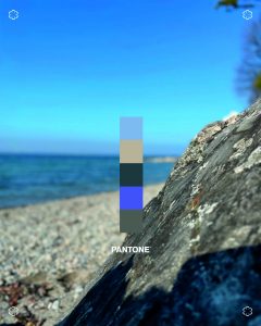 Mouthon-vert-inspiration-nuances-couleurs
