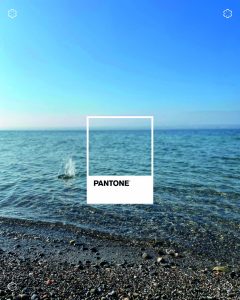 Mouthon-vert-inspiration-nuances-couleurs